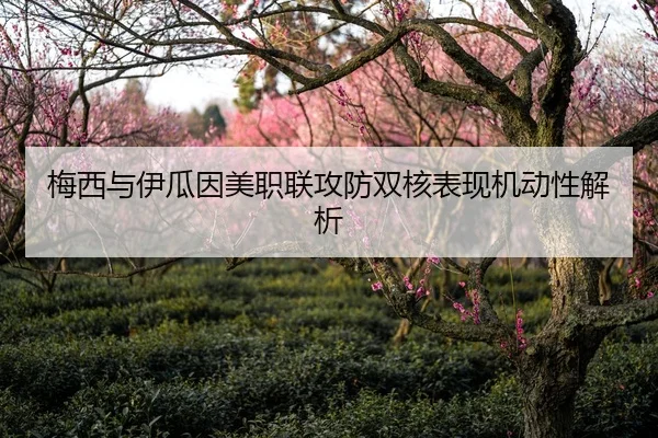 梅西与伊瓜因美职联攻防双核表现机动性解析